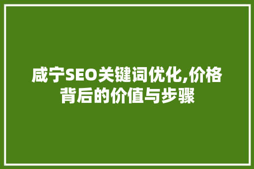 咸宁SEO关键词优化,价格背后的价值与步骤