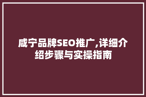 咸宁品牌SEO推广,详细介绍步骤与实操指南  第1张