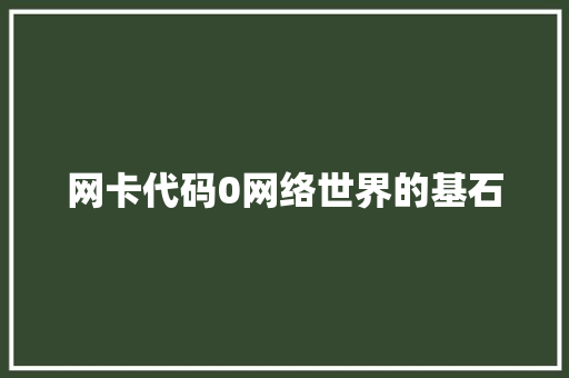 网卡代码0网络世界的基石