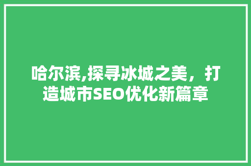 哈尔滨,探寻冰城之美，打造城市SEO优化新篇章