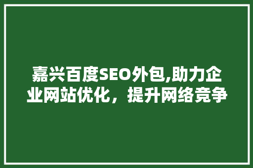 嘉兴百度SEO外包,助力企业网站优化，提升网络竞争力