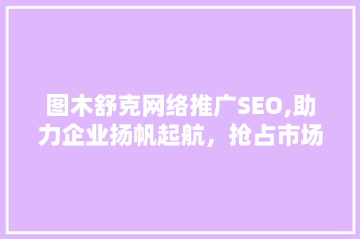 图木舒克网络推广SEO,助力企业扬帆起航，抢占市场制高点
