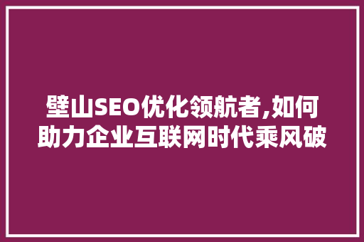 壁山SEO优化领航者,如何助力企业互联网时代乘风破浪  第1张