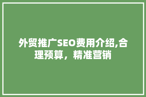 外贸推广SEO费用介绍,合理预算，精准营销