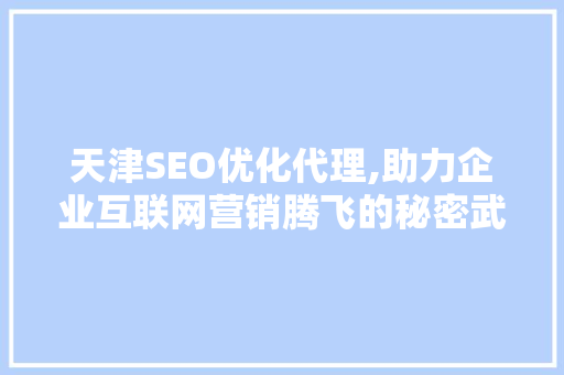 天津SEO优化代理,助力企业互联网营销腾飞的秘密武器