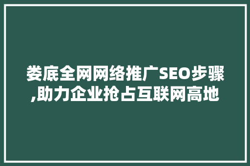 娄底全网网络推广SEO步骤,助力企业抢占互联网高地