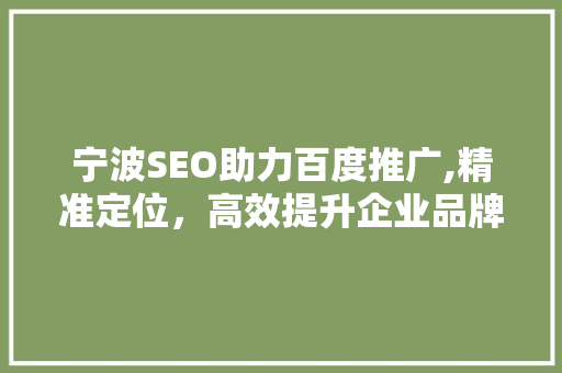 宁波SEO助力百度推广,精准定位，高效提升企业品牌影响力