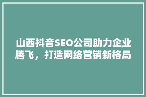 山西抖音SEO公司助力企业腾飞，打造网络营销新格局