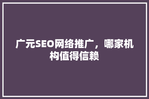 广元SEO网络推广，哪家机构值得信赖