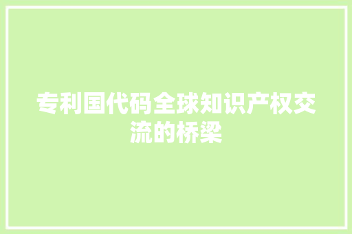 专利国代码全球知识产权交流的桥梁