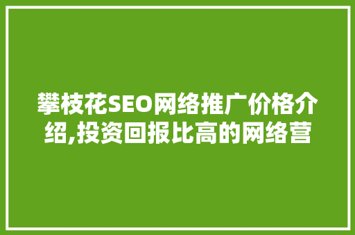 攀枝花SEO网络推广价格介绍,投资回报比高的网络营销步骤