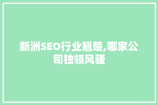 新洲SEO行业翘楚,哪家公司独领风骚