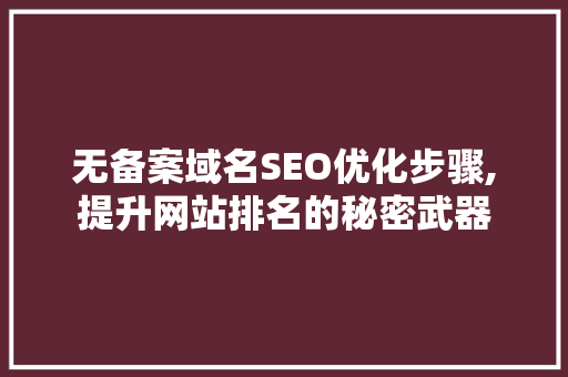 无备案域名SEO优化步骤,提升网站排名的秘密武器