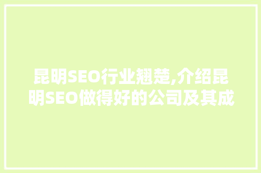 昆明SEO行业翘楚,介绍昆明SEO做得好的公司及其成功之路  第1张