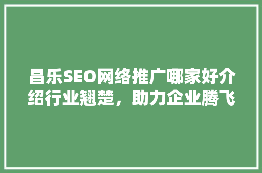 昌乐SEO网络推广哪家好介绍行业翘楚，助力企业腾飞  第1张