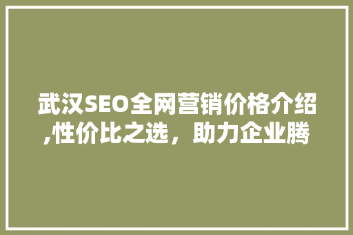 武汉SEO全网营销价格介绍,性价比之选，助力企业腾飞