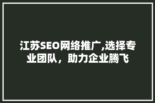 江苏SEO网络推广,选择专业团队，助力企业腾飞