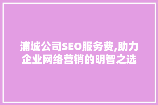 浦城公司SEO服务费,助力企业网络营销的明智之选  第1张