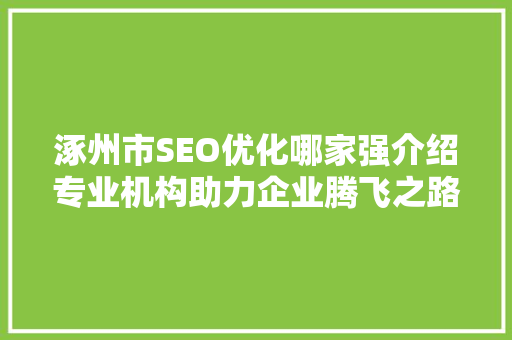 涿州市SEO优化哪家强介绍专业机构助力企业腾飞之路