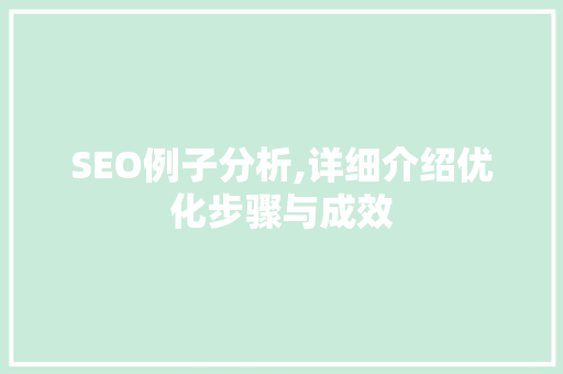 SEO例子分析,详细介绍优化步骤与成效