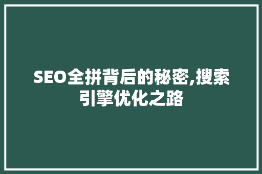 SEO全拼背后的秘密,搜索引擎优化之路