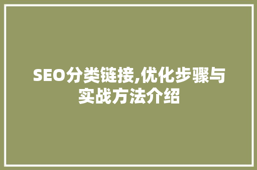 SEO分类链接,优化步骤与实战方法介绍
