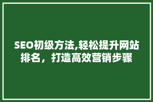 SEO初级方法,轻松提升网站排名，打造高效营销步骤