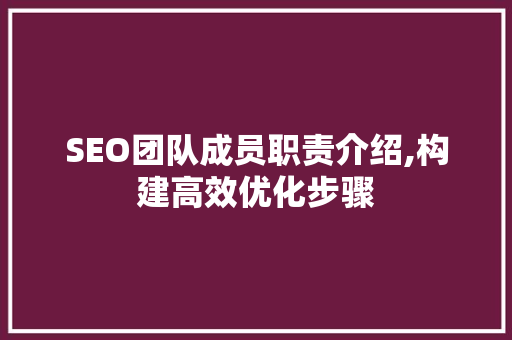 SEO团队成员职责介绍,构建高效优化步骤  第1张