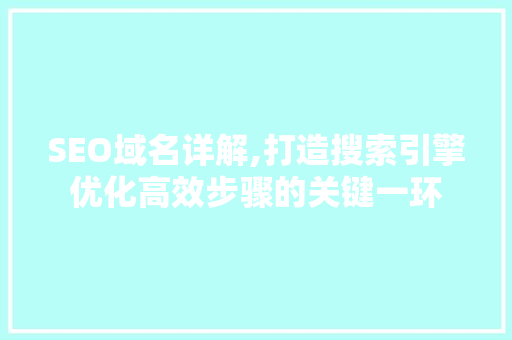 SEO域名详解,打造搜索引擎优化高效步骤的关键一环