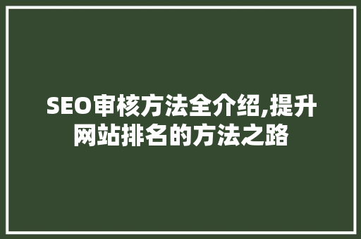SEO审核方法全介绍,提升网站排名的方法之路