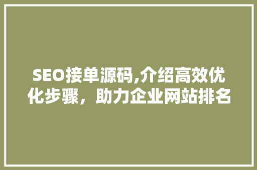 SEO接单源码,介绍高效优化步骤，助力企业网站排名攀升