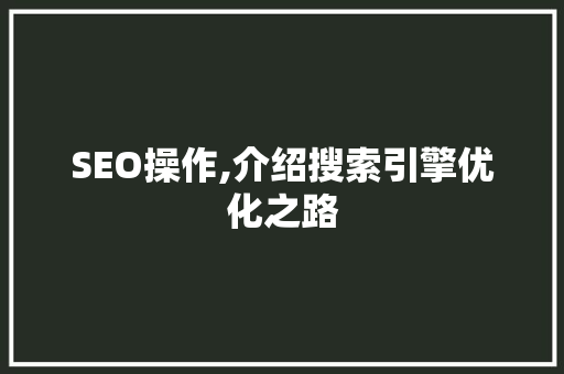 SEO操作,介绍搜索引擎优化之路