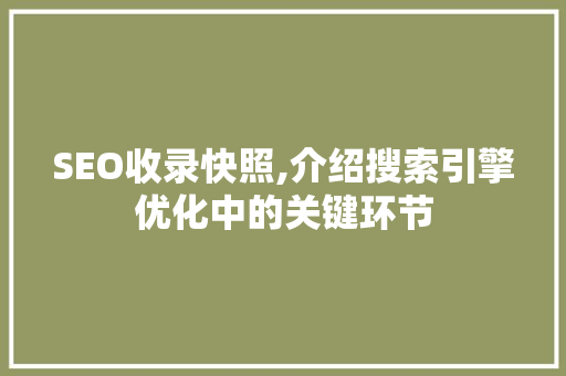 SEO收录快照,介绍搜索引擎优化中的关键环节