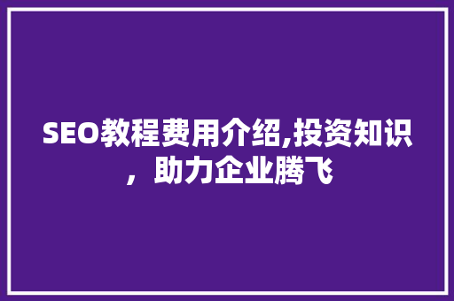 SEO教程费用介绍,投资知识，助力企业腾飞