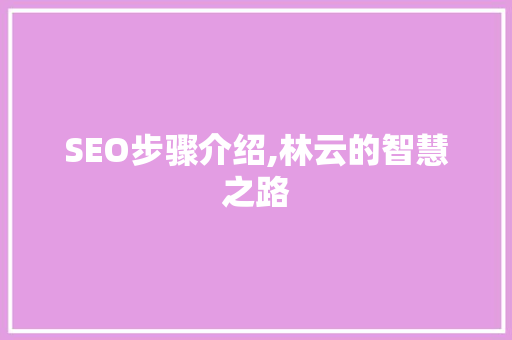 SEO步骤介绍,林云的智慧之路