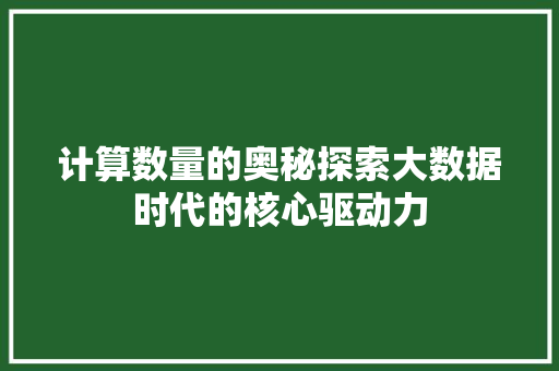 计算数量的奥秘探索大数据时代的核心驱动力