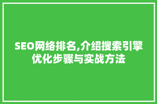 SEO网络排名,介绍搜索引擎优化步骤与实战方法