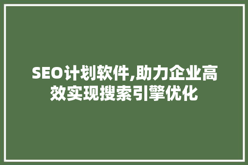 SEO计划软件,助力企业高效实现搜索引擎优化