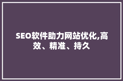 SEO软件助力网站优化,高效、精准、持久