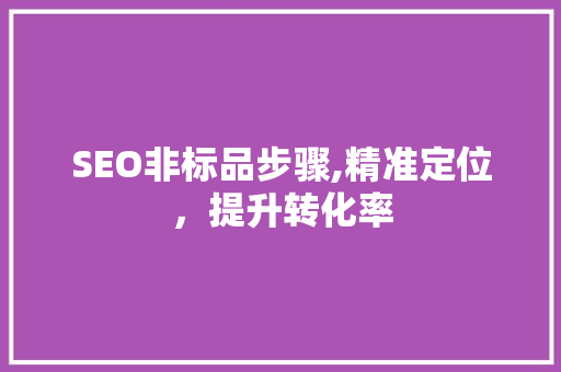 SEO非标品步骤,精准定位，提升转化率