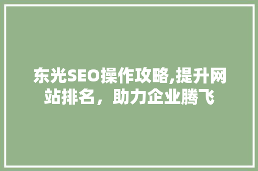东光SEO操作攻略,提升网站排名，助力企业腾飞