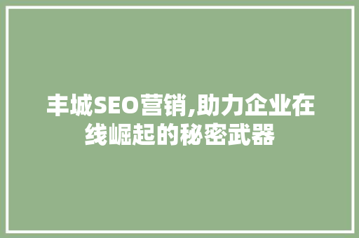 丰城SEO营销,助力企业在线崛起的秘密武器  第1张