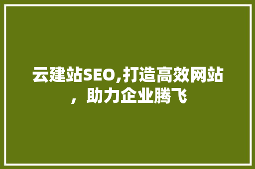 云建站SEO,打造高效网站，助力企业腾飞