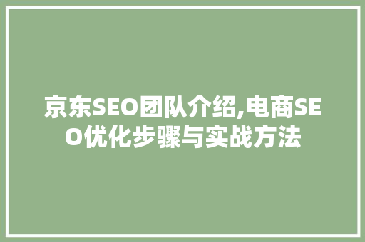 京东SEO团队介绍,电商SEO优化步骤与实战方法