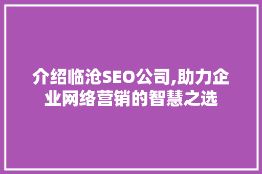 介绍临沧SEO公司,助力企业网络营销的智慧之选