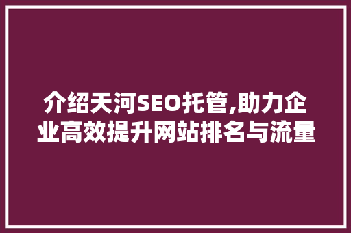 介绍天河SEO托管,助力企业高效提升网站排名与流量