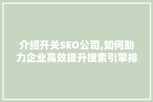 介绍开关SEO公司,如何助力企业高效提升搜索引擎排名