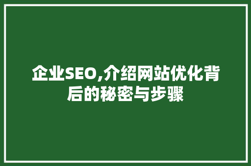 企业SEO,介绍网站优化背后的秘密与步骤