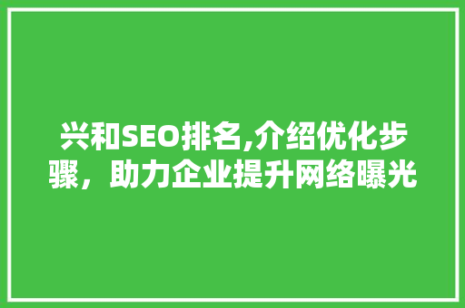 兴和SEO排名,介绍优化步骤，助力企业提升网络曝光度