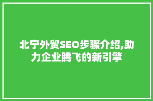 北宁外贸SEO步骤介绍,助力企业腾飞的新引擎